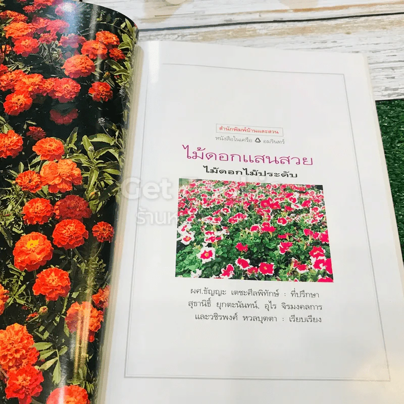 ไม้ดอกแสนสวย ไม้ดอกไม้ประดับ รูปที่ 6