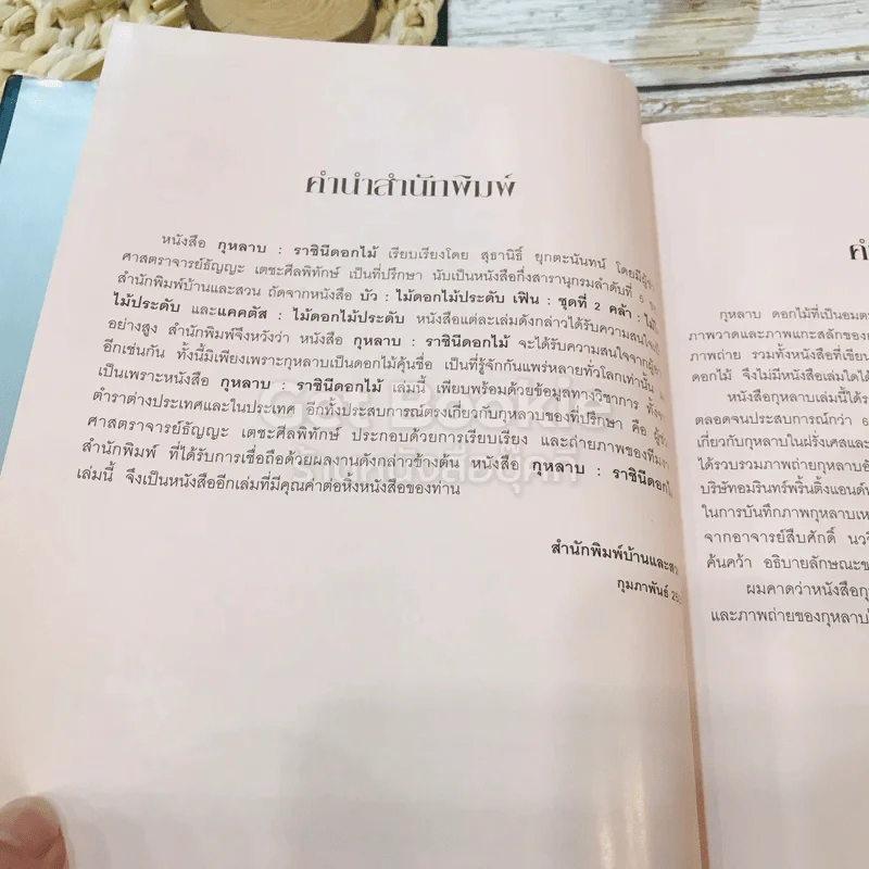 กุหลาบ ราชินีดอกไม้ รูปที่ 8