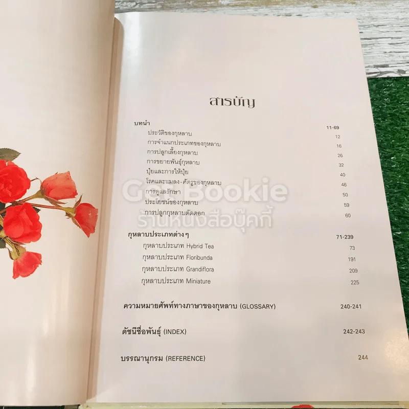 กุหลาบ ราชินีดอกไม้ รูปที่ 10