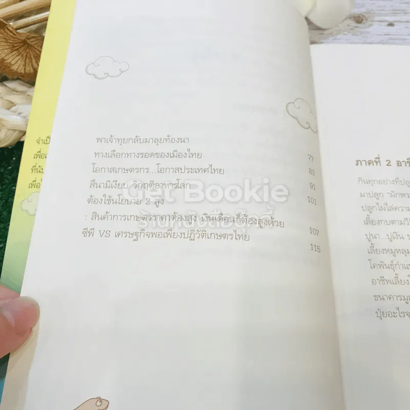 ขุดทองบนดิน พลิกวิกฤติด้วยเกษตร รูปที่ 13