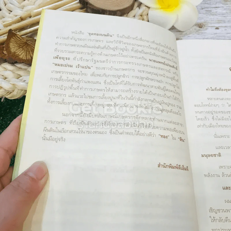 ขุดทองบนดิน พลิกวิกฤติด้วยเกษตร รูปที่ 7