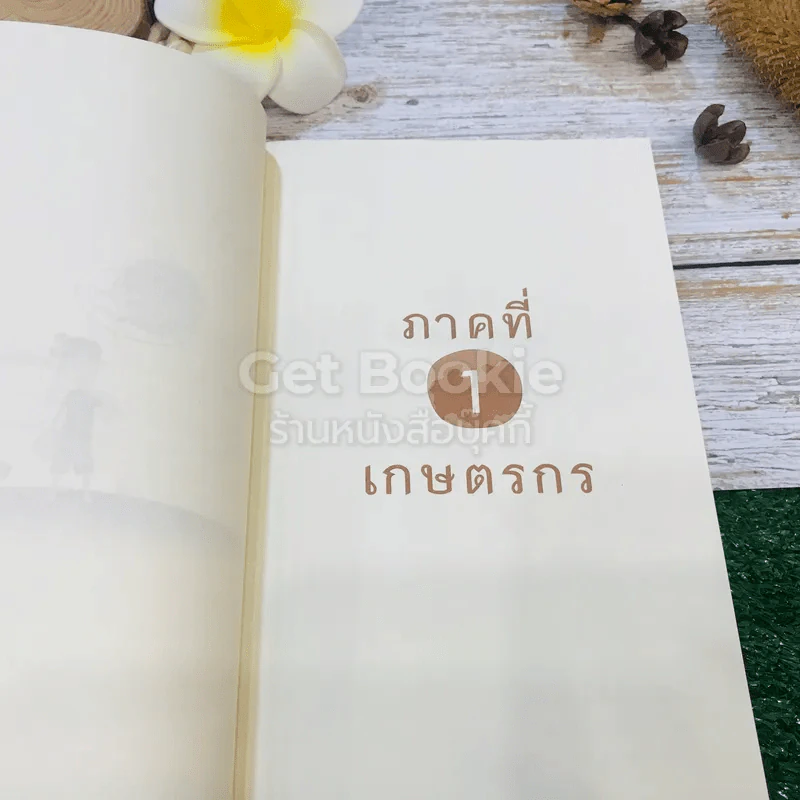 ขุดทองบนดิน พลิกวิกฤติด้วยเกษตร รูปที่ 16