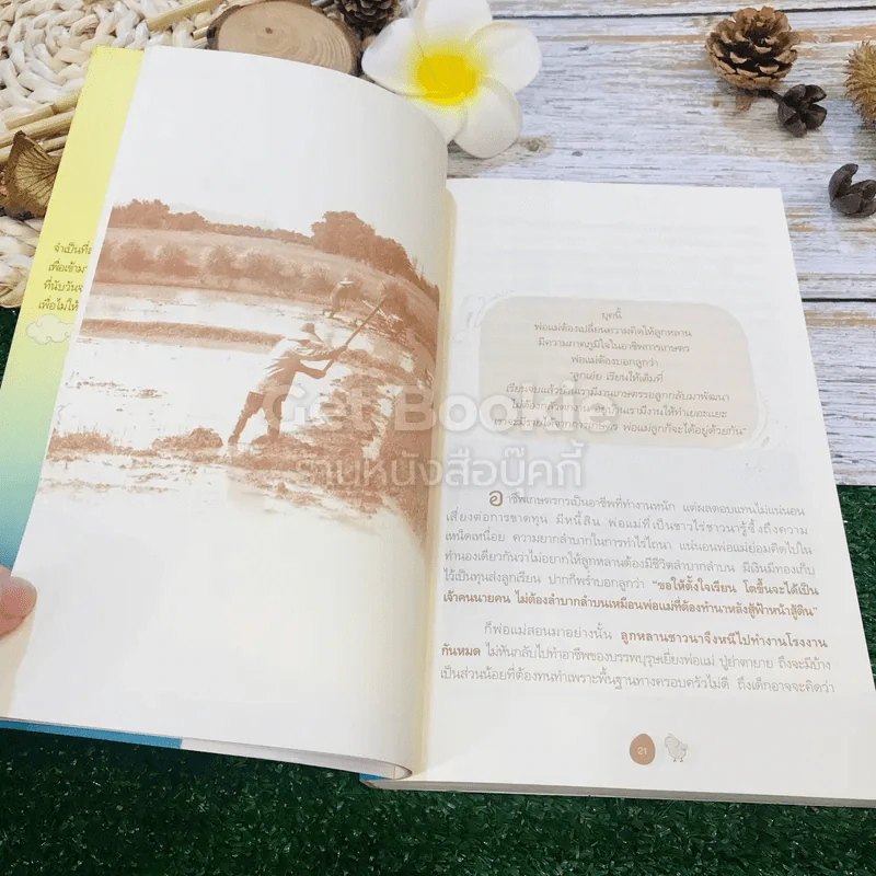 ขุดทองบนดิน พลิกวิกฤติด้วยเกษตร รูปที่ 17