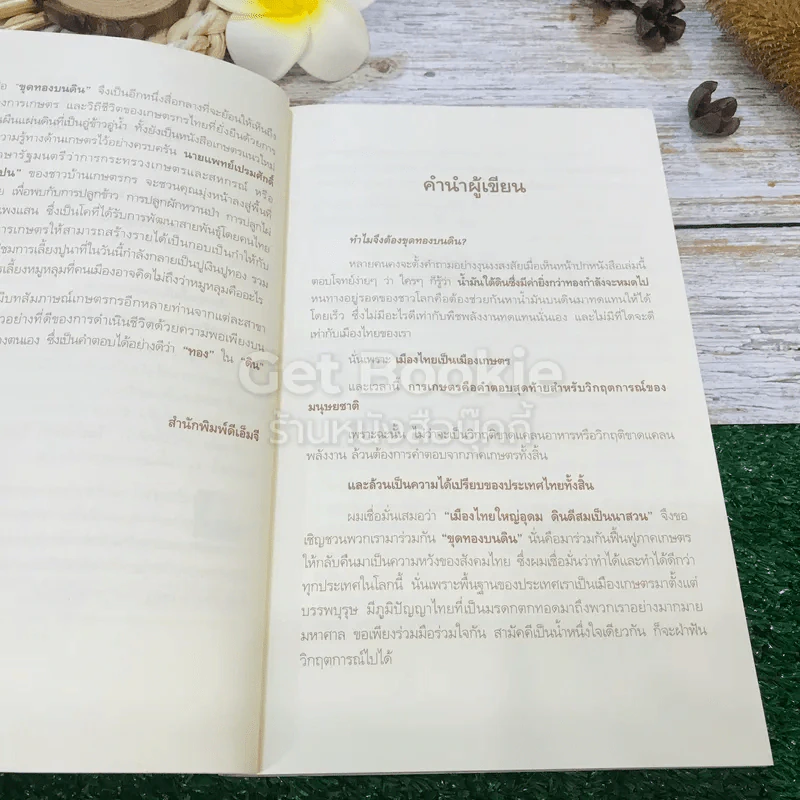 ขุดทองบนดิน พลิกวิกฤติด้วยเกษตร รูปที่ 8
