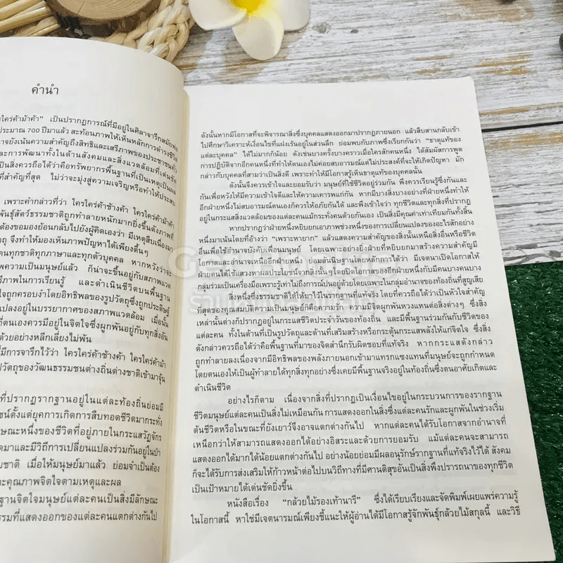 กล้วยไม้รองเท้านารี วิธีปลูกเลี้ยงและปัญหาอนุรักษ์ธรรมชาติ รูปที่ 8