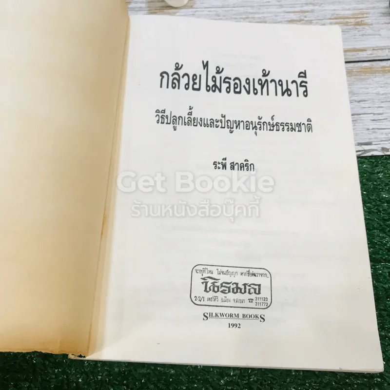 กล้วยไม้รองเท้านารี วิธีปลูกเลี้ยงและปัญหาอนุรักษ์ธรรมชาติ รูปที่ 4
