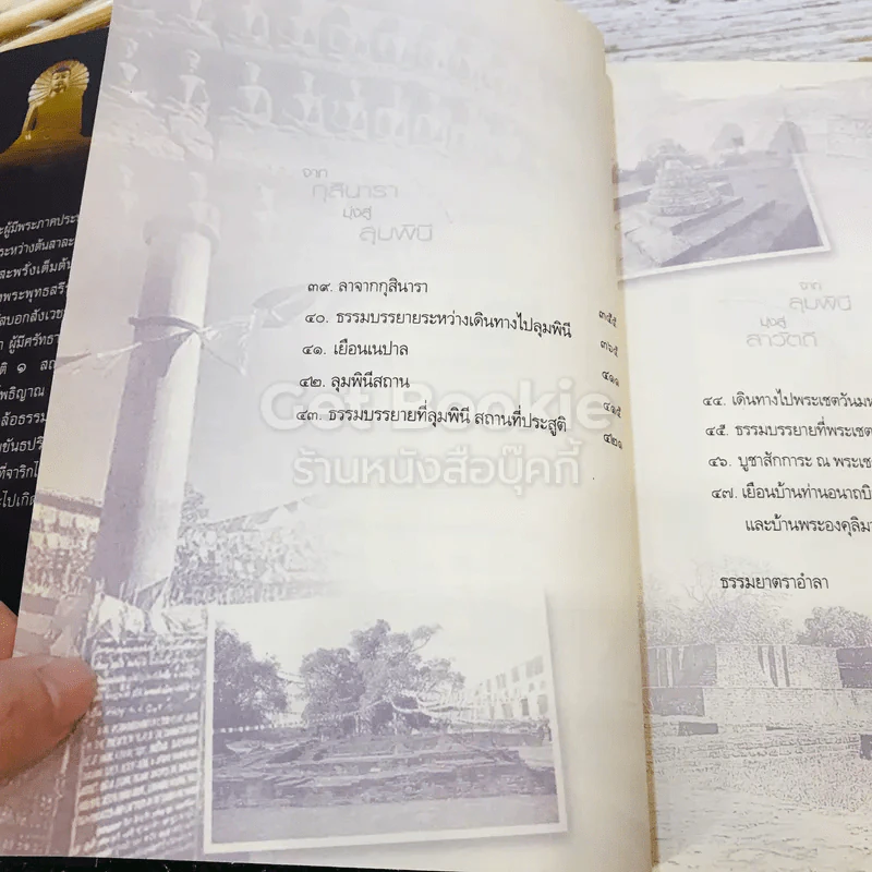 ธรรมยาตรารำลึก พุทธภูมิ รูปที่ 19