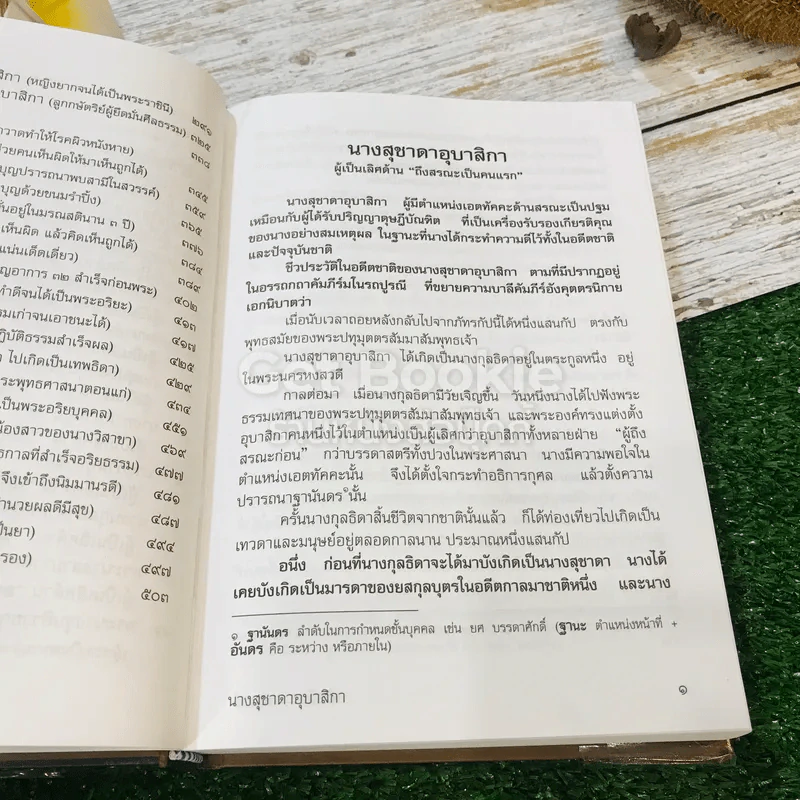 ชีวประวัติพุทธอุบาสิกา (ครั้งพุทธกาล) รูปที่ 13