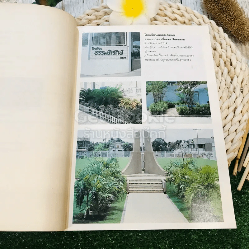 หลักการจัดสวนในบ้าน Home Landscaping รูปที่ 14