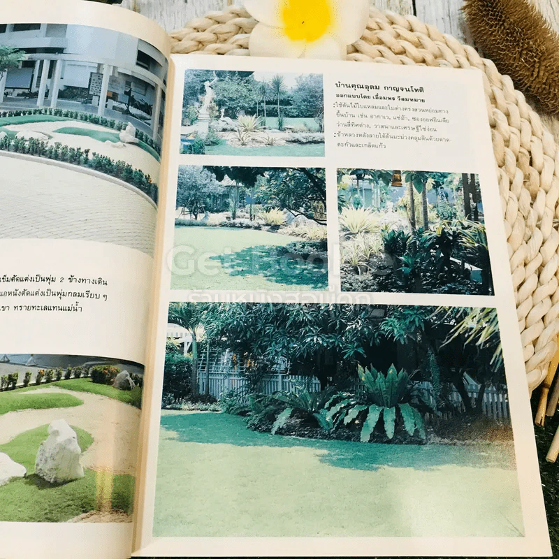 หลักการจัดสวนในบ้าน Home Landscaping รูปที่ 18