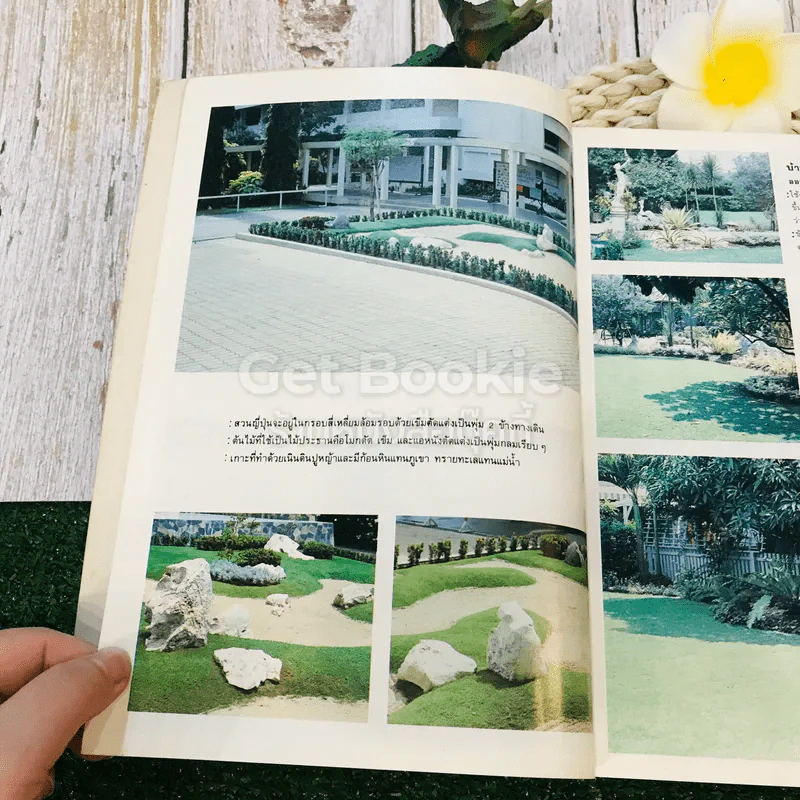 หลักการจัดสวนในบ้าน Home Landscaping รูปที่ 17