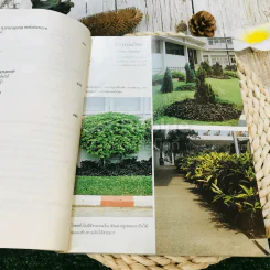 หลักการจัดสวนเบื้องต้น Landscape Design รูปที่ 10