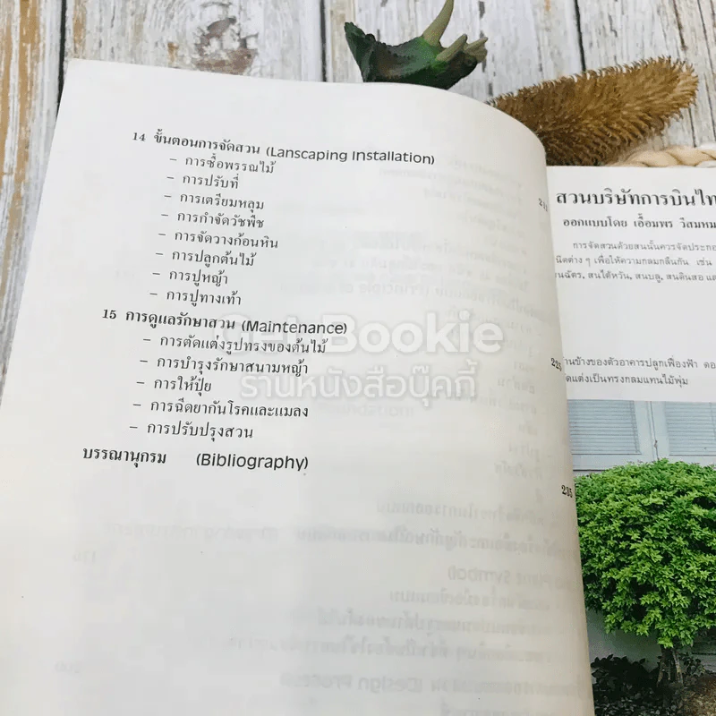 หลักการจัดสวนเบื้องต้น Landscape Design รูปที่ 9