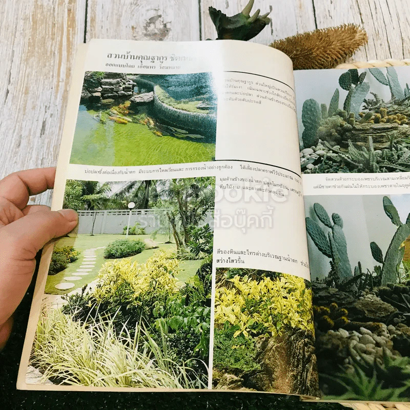 หลักการจัดสวนเบื้องต้น Landscape Design รูปที่ 11
