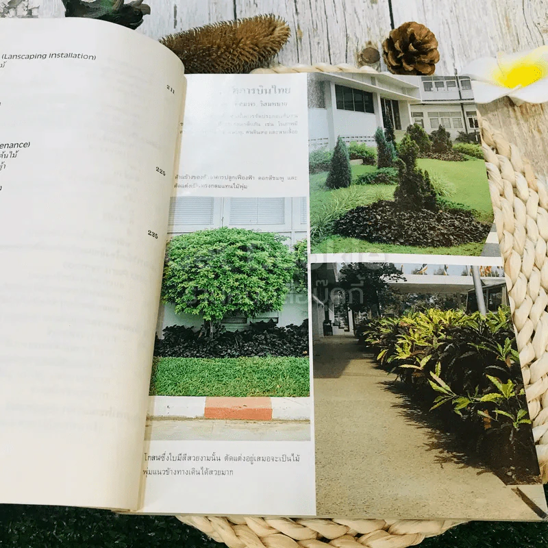 หลักการจัดสวนเบื้องต้น Landscape Design รูปที่ 10