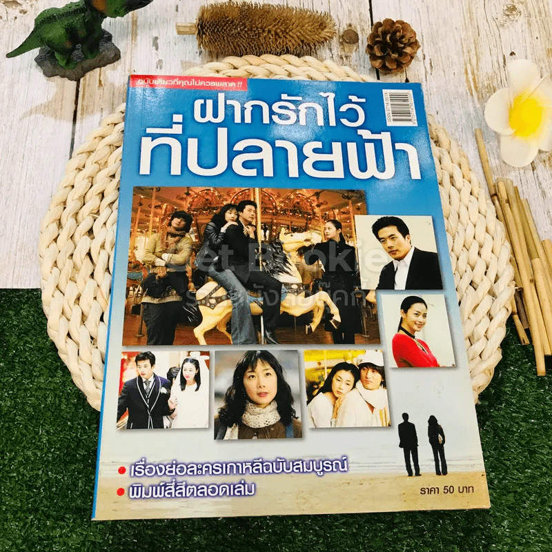 ฝากรักไว้ที่ปลายฟ้า รูปที่ 1