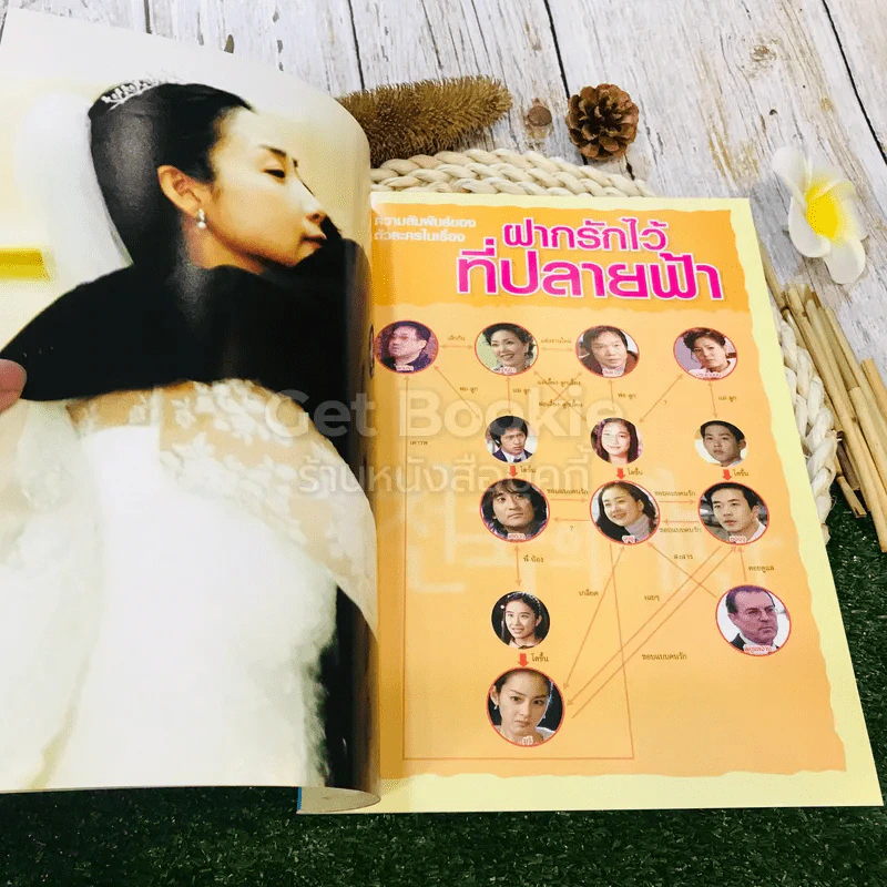 ฝากรักไว้ที่ปลายฟ้า รูปที่ 7