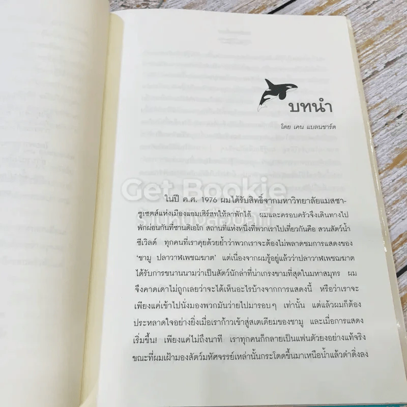 วาฬบอกเยี่ยม Whale Done! พลังแห่งความสัมพันธภาพด้านบวก รูปที่ 10