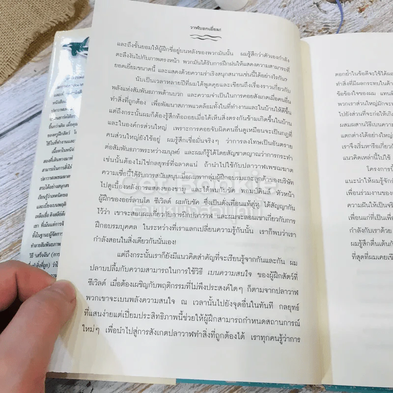 วาฬบอกเยี่ยม Whale Done! พลังแห่งความสัมพันธภาพด้านบวก รูปที่ 11