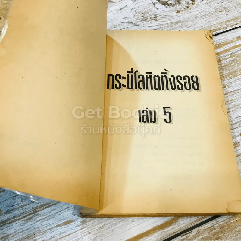 กระบี่โลหิตทิ้งรอย 5 เล่มจบ รูปที่ 10