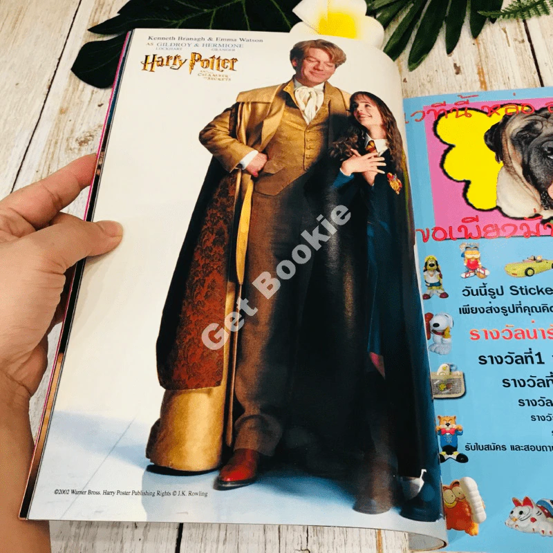 Starpics 2nd November 2002 Harry Potter รูปที่ 8