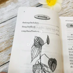 ตำรายาสมุนไพร รูปที่ 5
