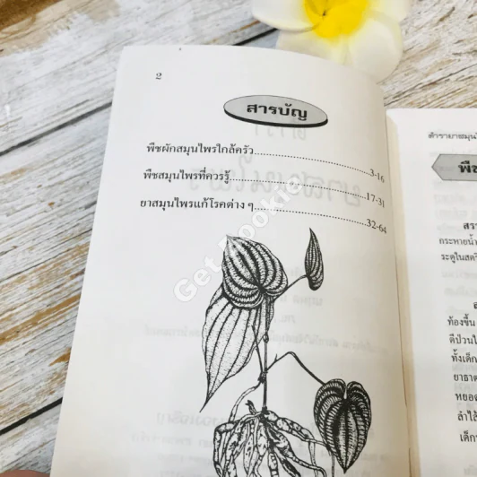 ตำรายาสมุนไพร รูปที่ 5