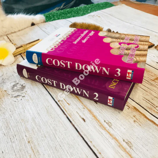 Cost Down 2-3 รูปที่ 2
