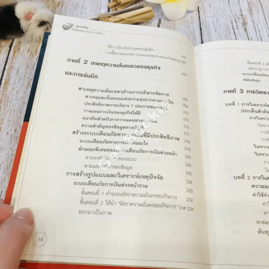 Financial Crisis ตรวจจับข้อผิดพลาดทางการเงิน รูปที่ 17