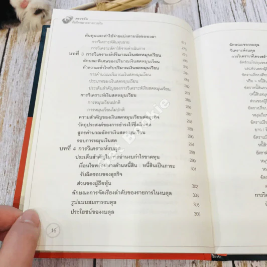 Financial Crisis ตรวจจับข้อผิดพลาดทางการเงิน รูปที่ 19