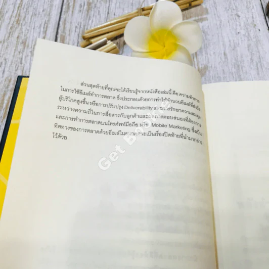 E-mail Marketing การตลาดด้วยอี-เมล์ รูปที่ 20