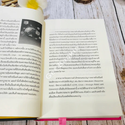 E-mail Marketing การตลาดด้วยอี-เมล์ รูปที่ 18