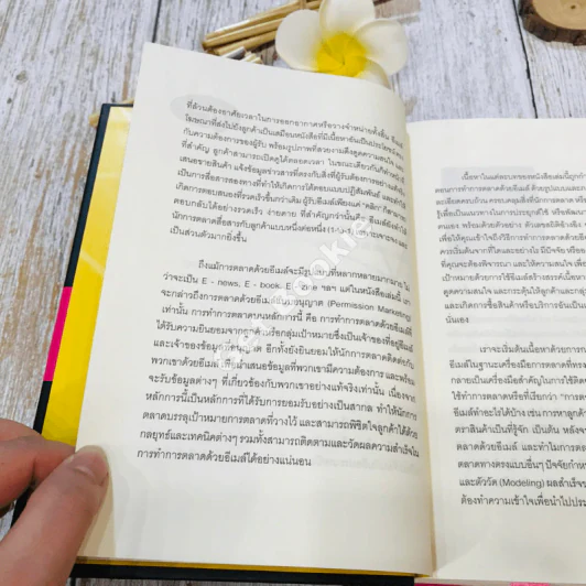 E-mail Marketing การตลาดด้วยอี-เมล์ รูปที่ 15
