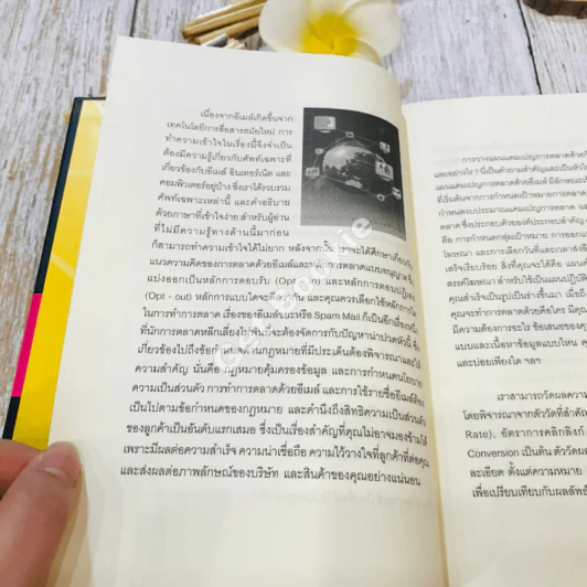 E-mail Marketing การตลาดด้วยอี-เมล์ รูปที่ 17