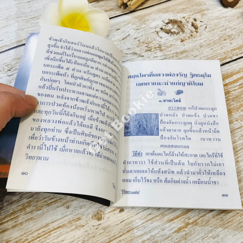 ตำรายาสมุนไพร รูปที่ 10