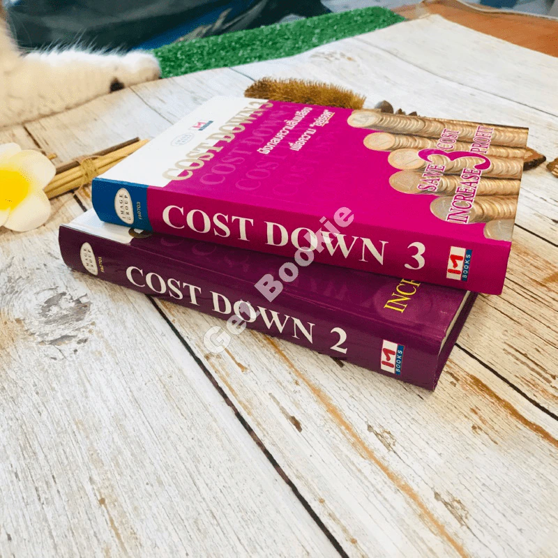 Cost Down 2-3 รูปที่ 2