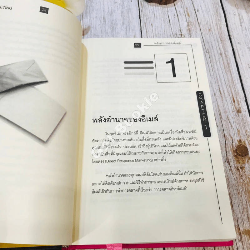 E-mail Marketing การตลาดด้วยอี-เมล์ รูปที่ 21