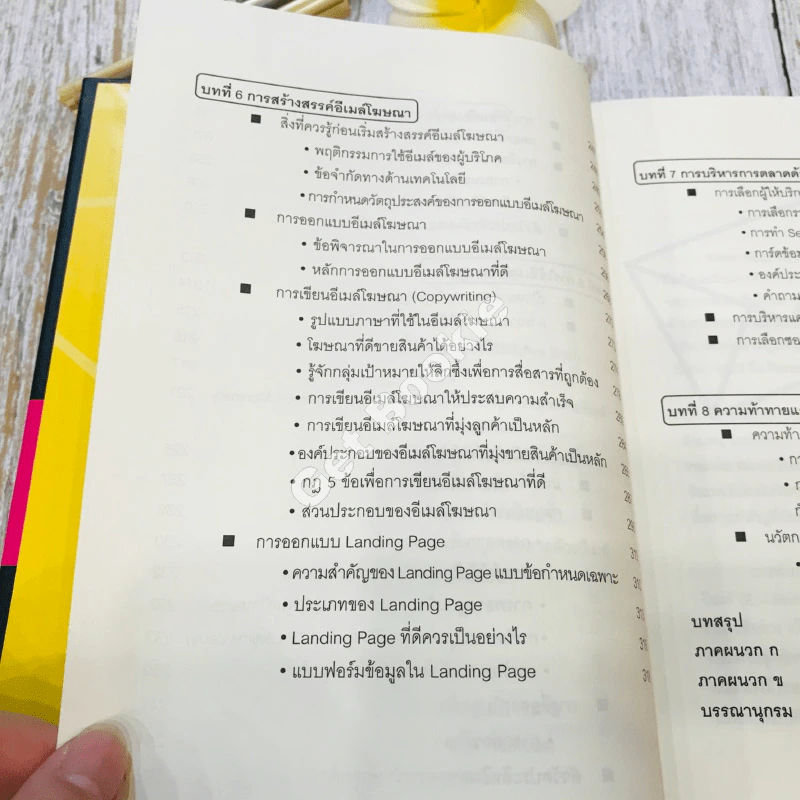 E-mail Marketing การตลาดด้วยอี-เมล์ รูปที่ 12