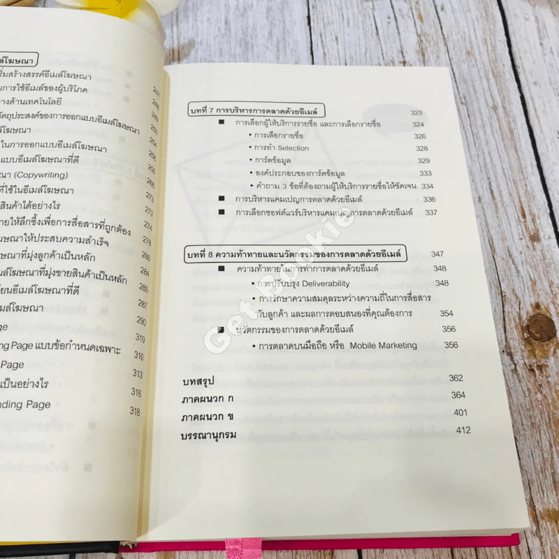 E-mail Marketing การตลาดด้วยอี-เมล์ รูปที่ 13
