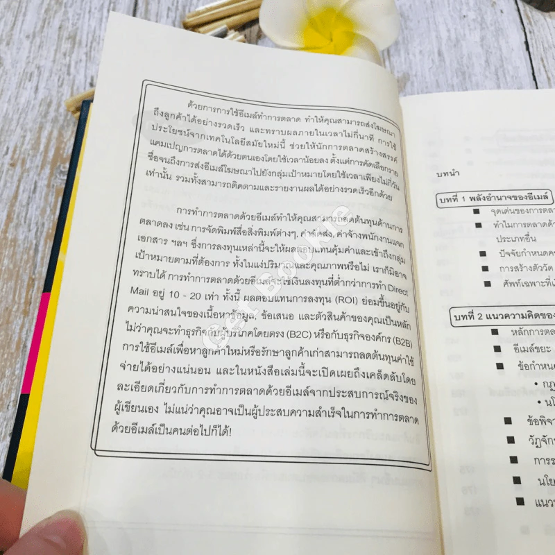 E-mail Marketing การตลาดด้วยอี-เมล์ รูปที่ 8