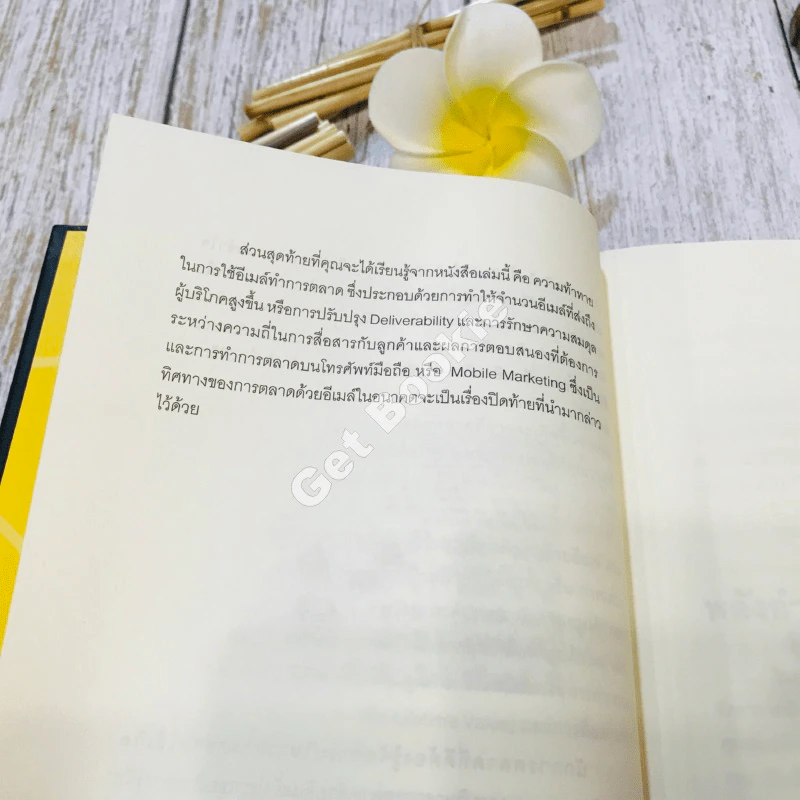 E-mail Marketing การตลาดด้วยอี-เมล์ รูปที่ 20