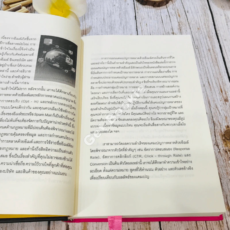 E-mail Marketing การตลาดด้วยอี-เมล์ รูปที่ 18