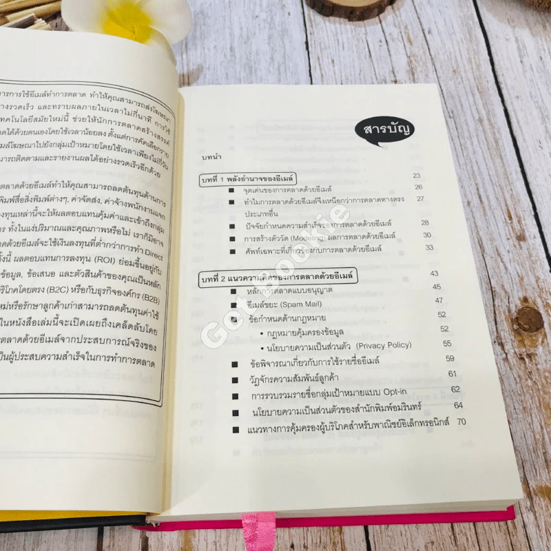 E-mail Marketing การตลาดด้วยอี-เมล์ รูปที่ 9