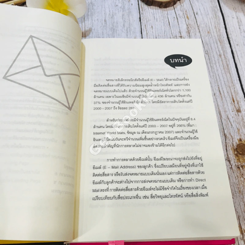 E-mail Marketing การตลาดด้วยอี-เมล์ รูปที่ 14