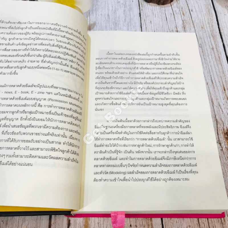 E-mail Marketing การตลาดด้วยอี-เมล์ รูปที่ 16