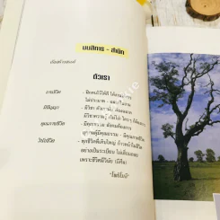 สมุดภาพแดนพุทธภูมิ รูปที่ 21