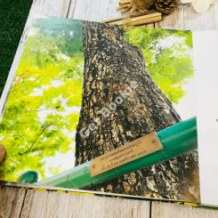 สมาคมนิสิตเก่ามหาวิทยาลัยเกษตรศาสตร์ในพระบรมราชูปถัมภ์ 60 ปี พ.ศ.2496-2556 รูปที่ 7