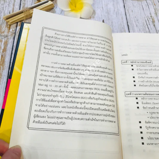 E-mail Marketing การตลาดด้วยอี-เมล์ รูปที่ 8