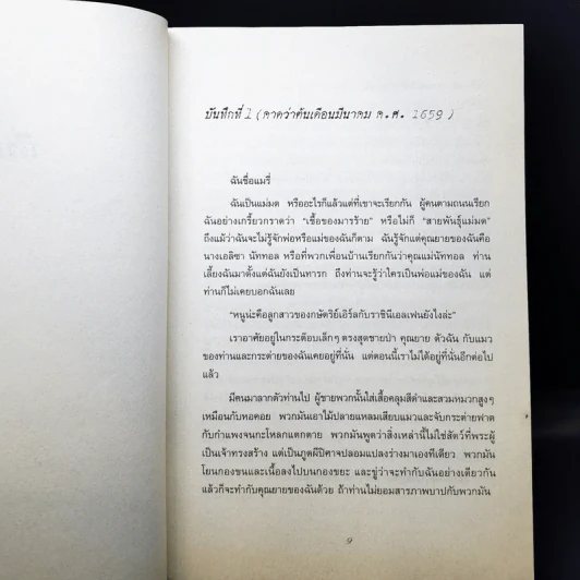 ผิดด้วยหรือฉันคือแม่มด รูปที่ 10