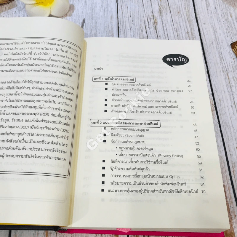 E-mail Marketing การตลาดด้วยอี-เมล์ รูปที่ 9